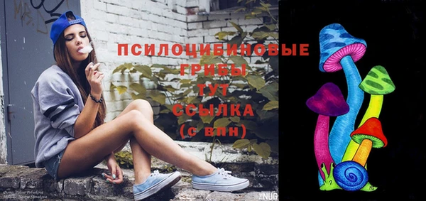 Альфа ПВП Абаза