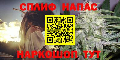 стаф Абакан