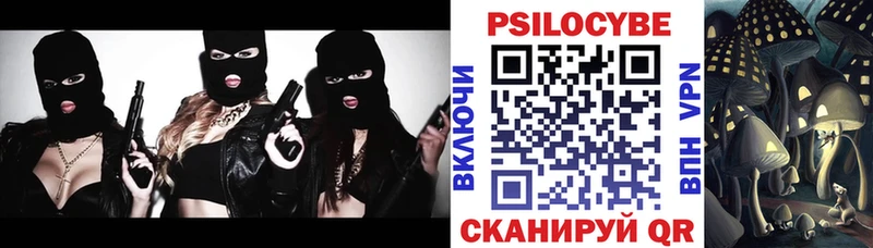 закладки  Алейск  Псилоцибиновые грибы мицелий 