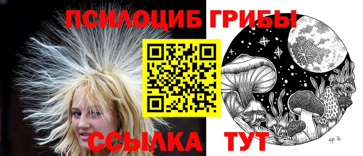 Галлюциногенные грибы мицелий Алейск