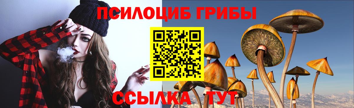 Псилоцибиновые грибы Cubensis  Псилоцибиновые грибы GOLDEN TEACHER  Вход с VPN  Алейск 