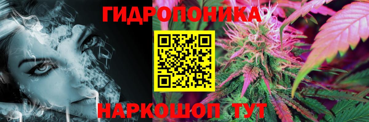 Шишки марихуана гибрид  Бошки марихуана индика  Алейск  Марихуана ГИДРОПОН  Вход с VPN 